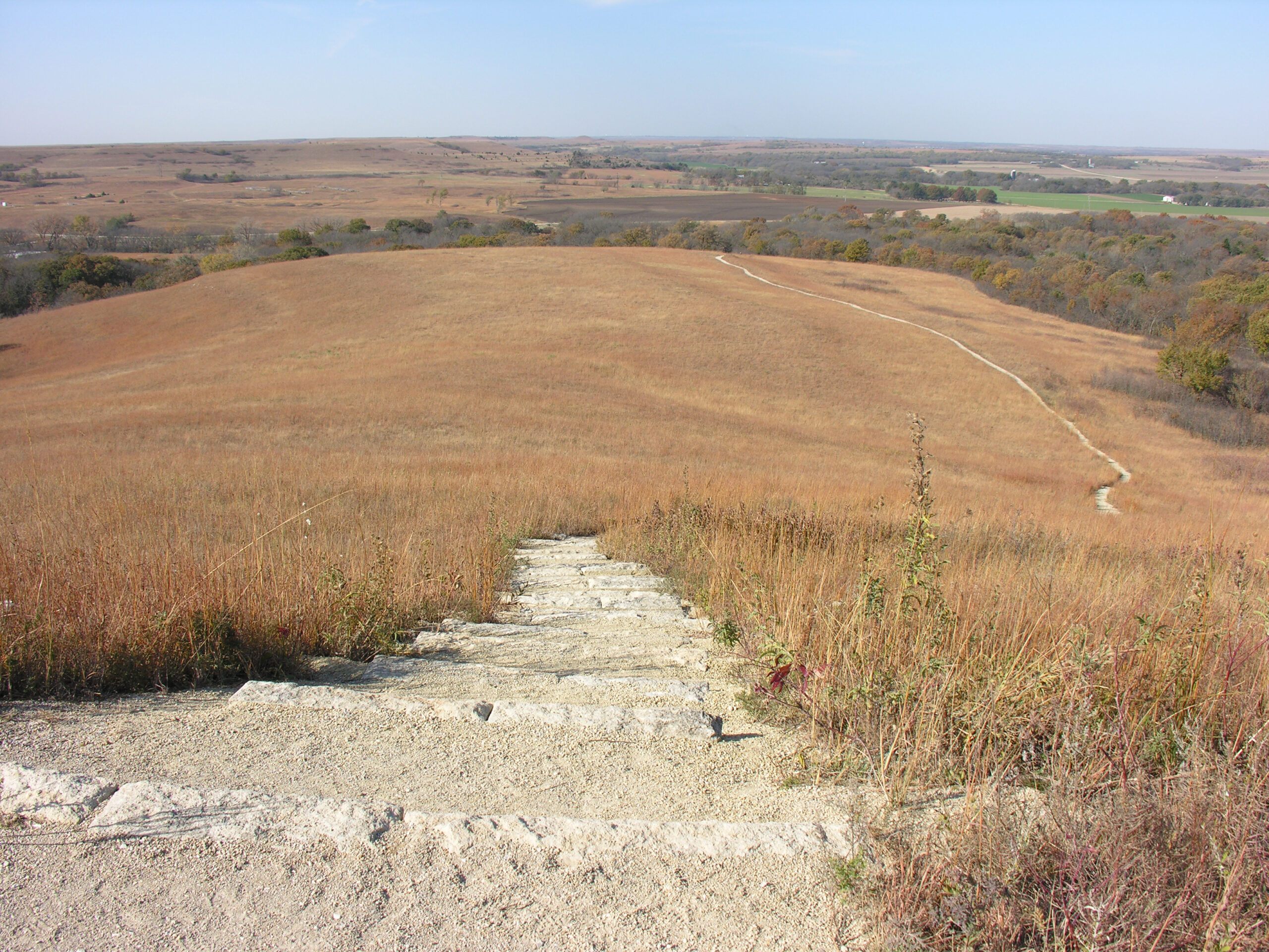 the view from the top